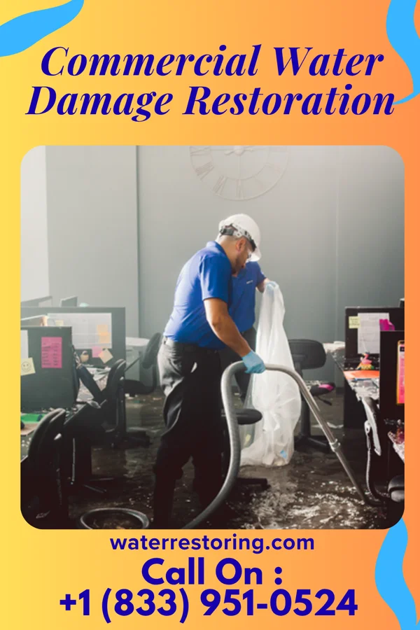 Commercial Water Damage Restoration in Avera, GA